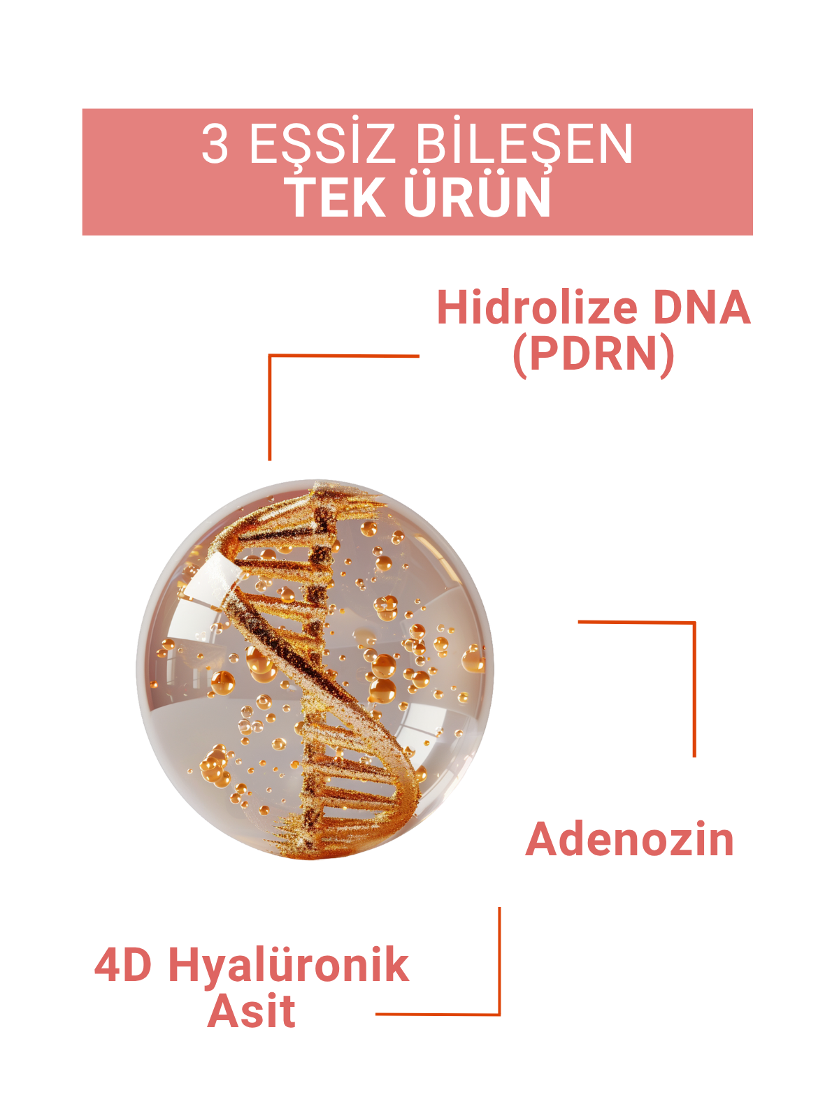 PDRN ve 4D Hyaluronik Asit İçeren Kırışıklık Karışıtı Cilt Yenileyici Serum 30ML